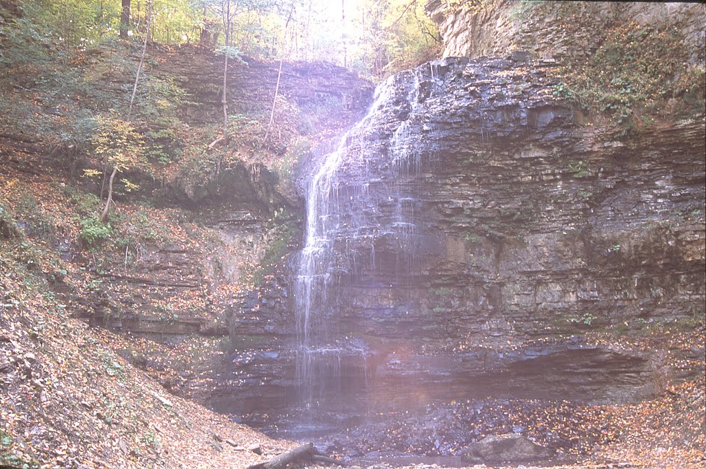 Tiffany Falls, Oct. 2012