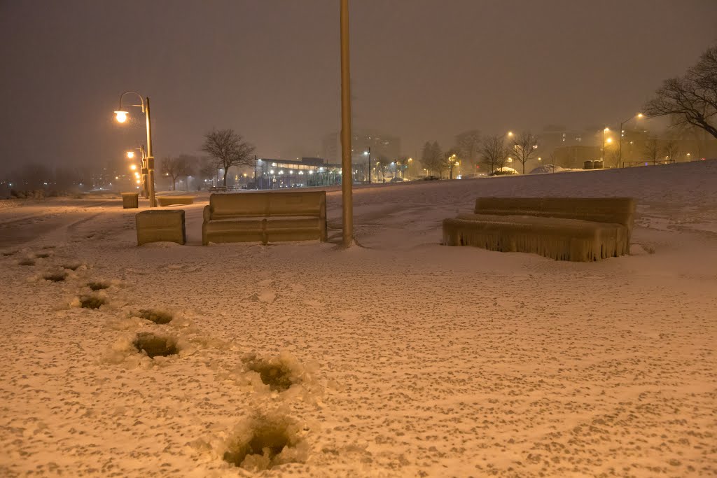 Ice Encased Benches at Spencer Smith Park