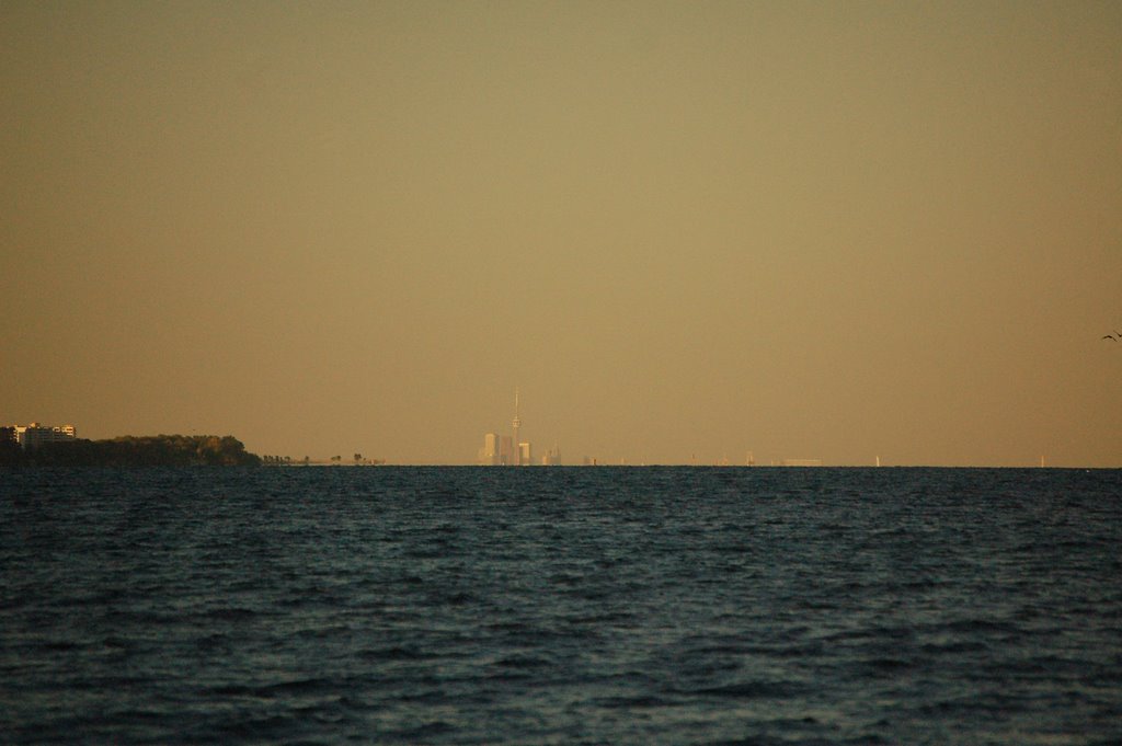 Toronto in the distance