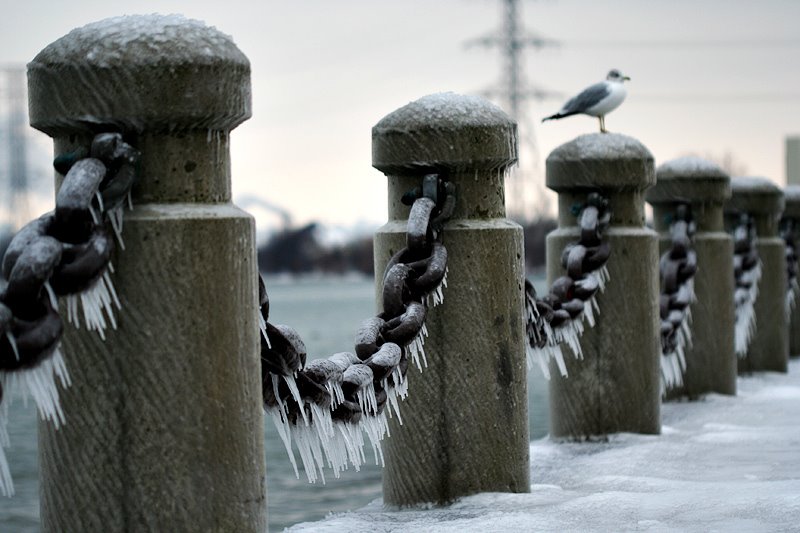 icy_chains