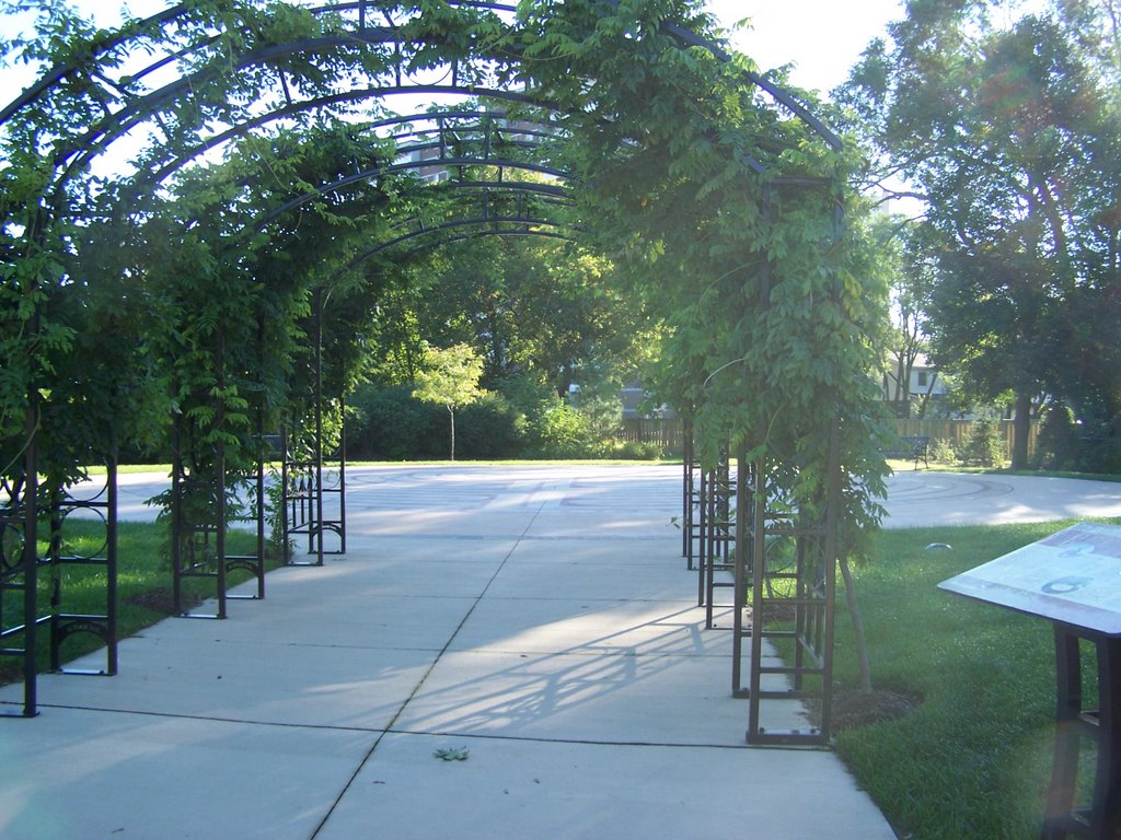 Burlington Central Library - Labyrinth