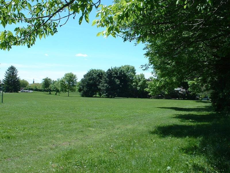 Central Park