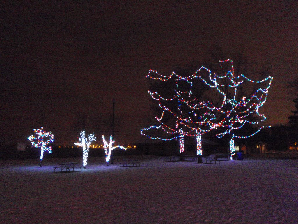 Barrie Xmas