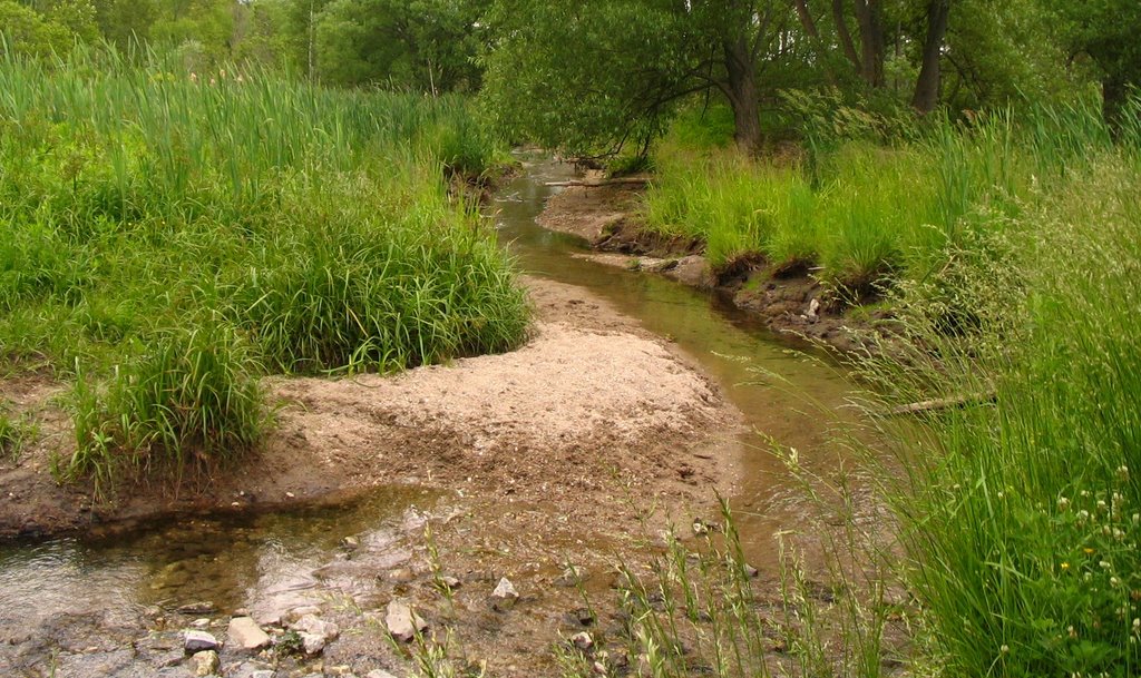 Brook