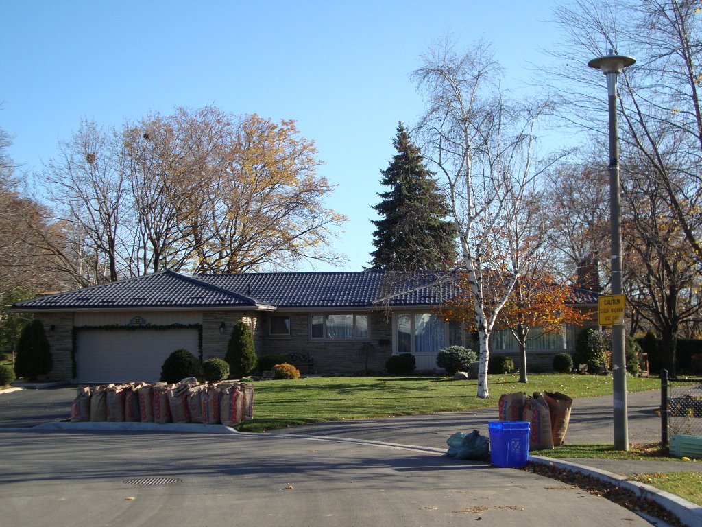 Metal Roof