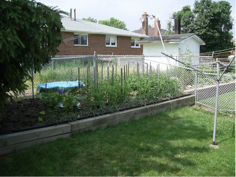 Suburban Garden