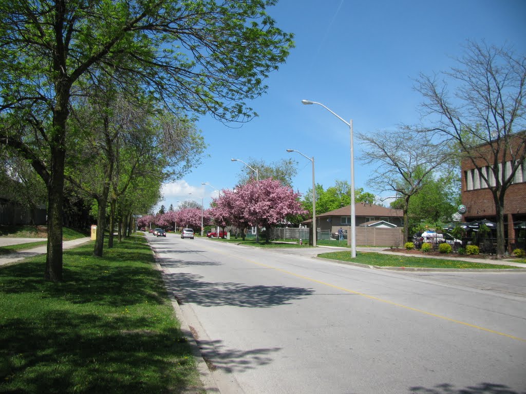 Hanson Rd N