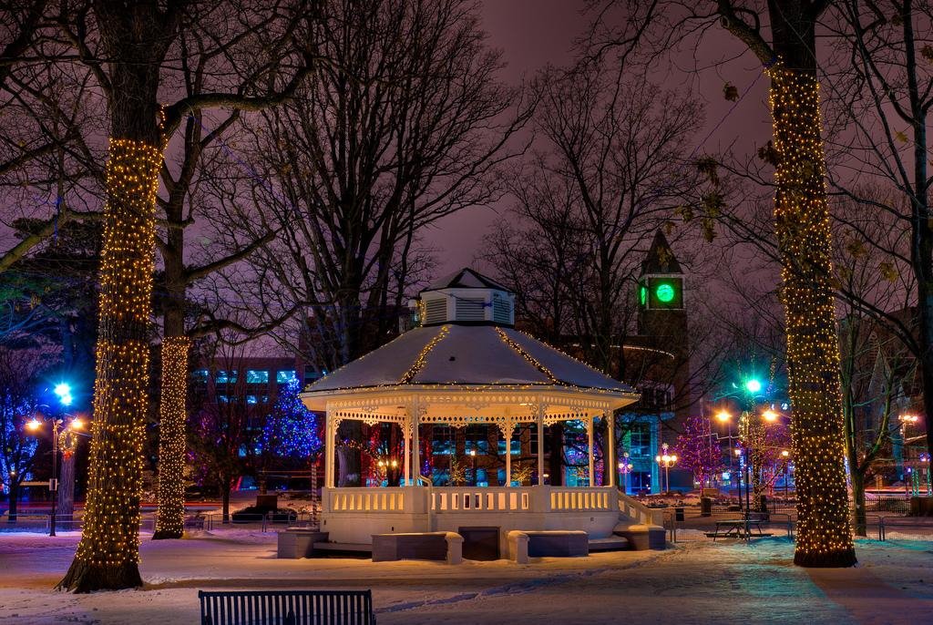 Gage Park Christmas Lights