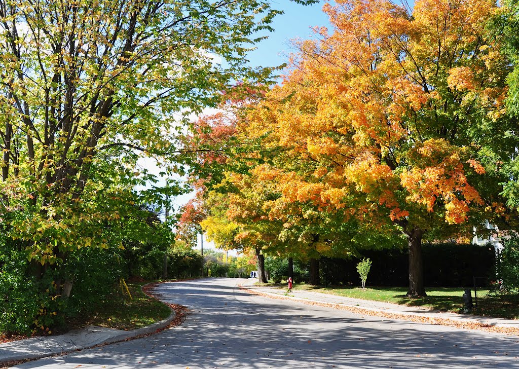 BRAMPTON - Scott Street