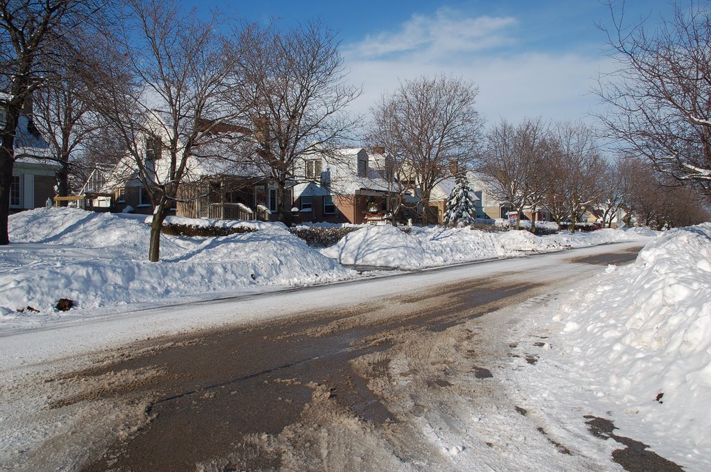 McCaul Street. Feb 2008