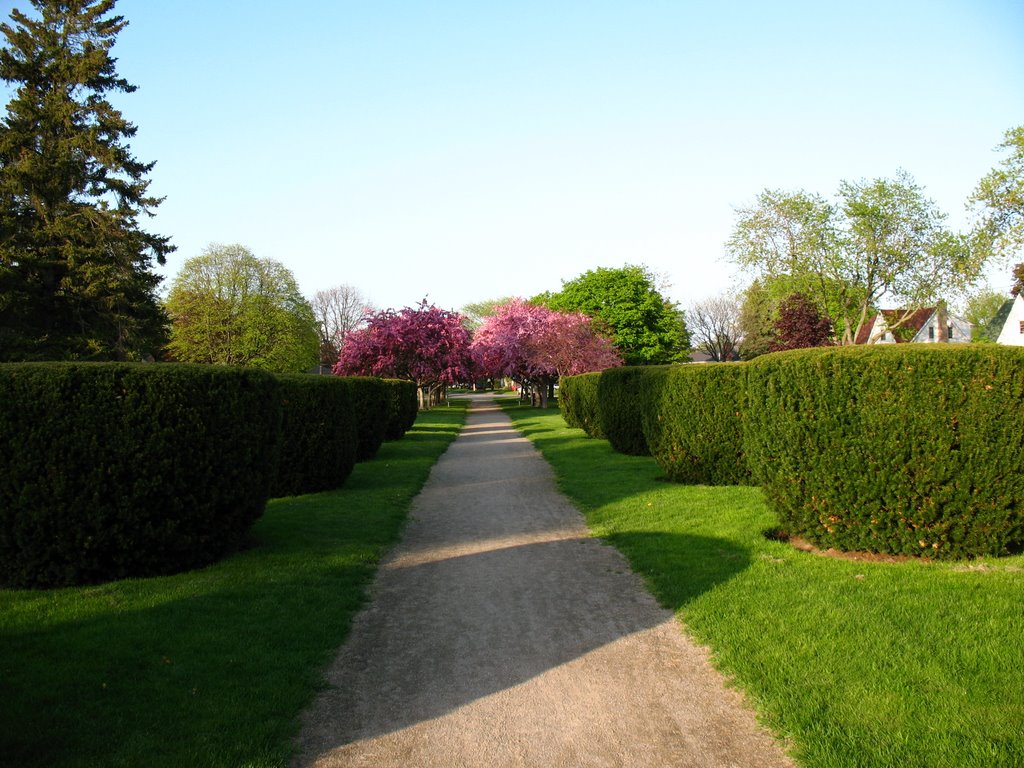 Regent Park