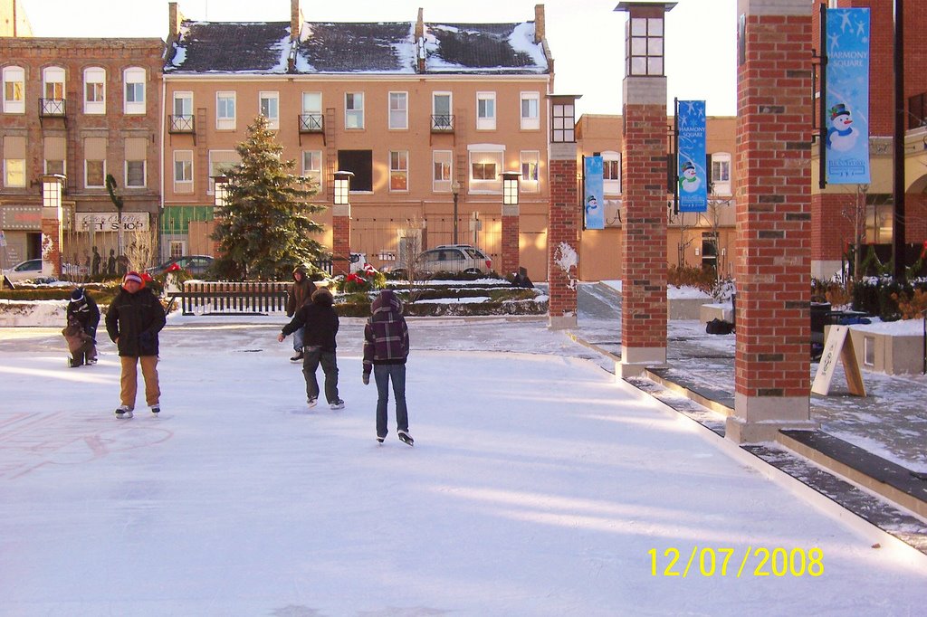 Skating Rink at Harmony Sq