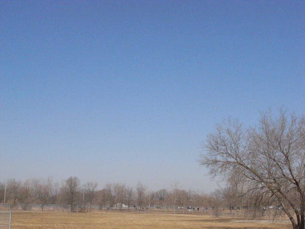 Dogford Park