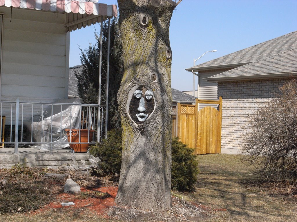 Tree Face