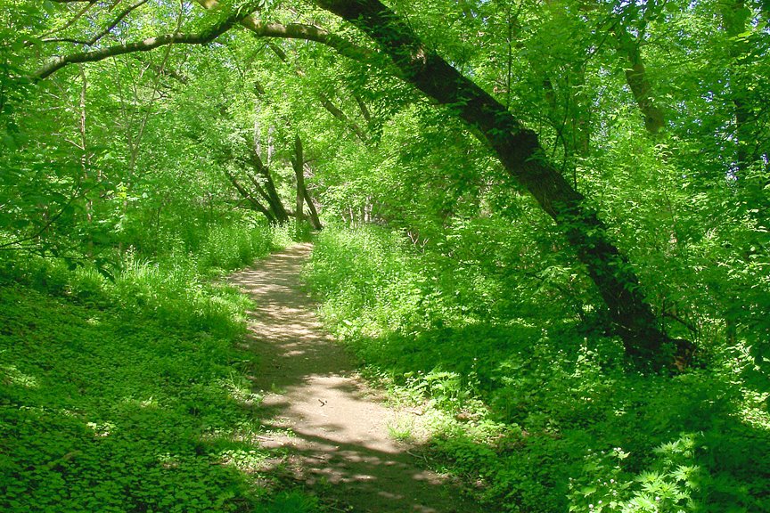 Walking Path on the Grand