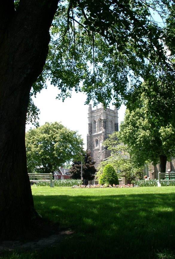 Grace Anglican church