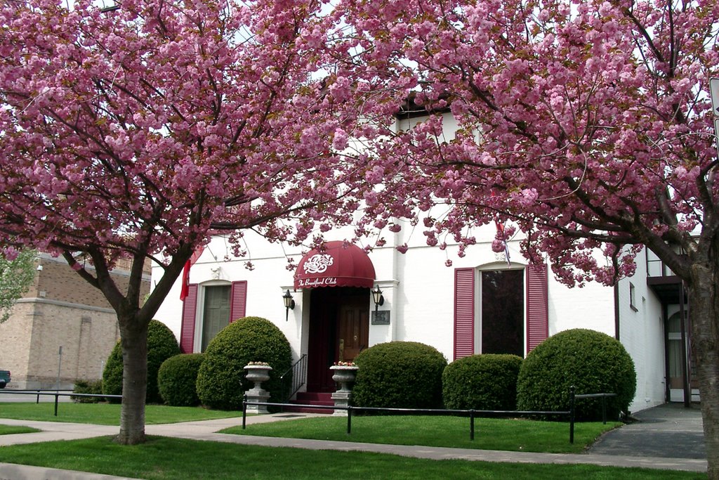 The Brantford Club