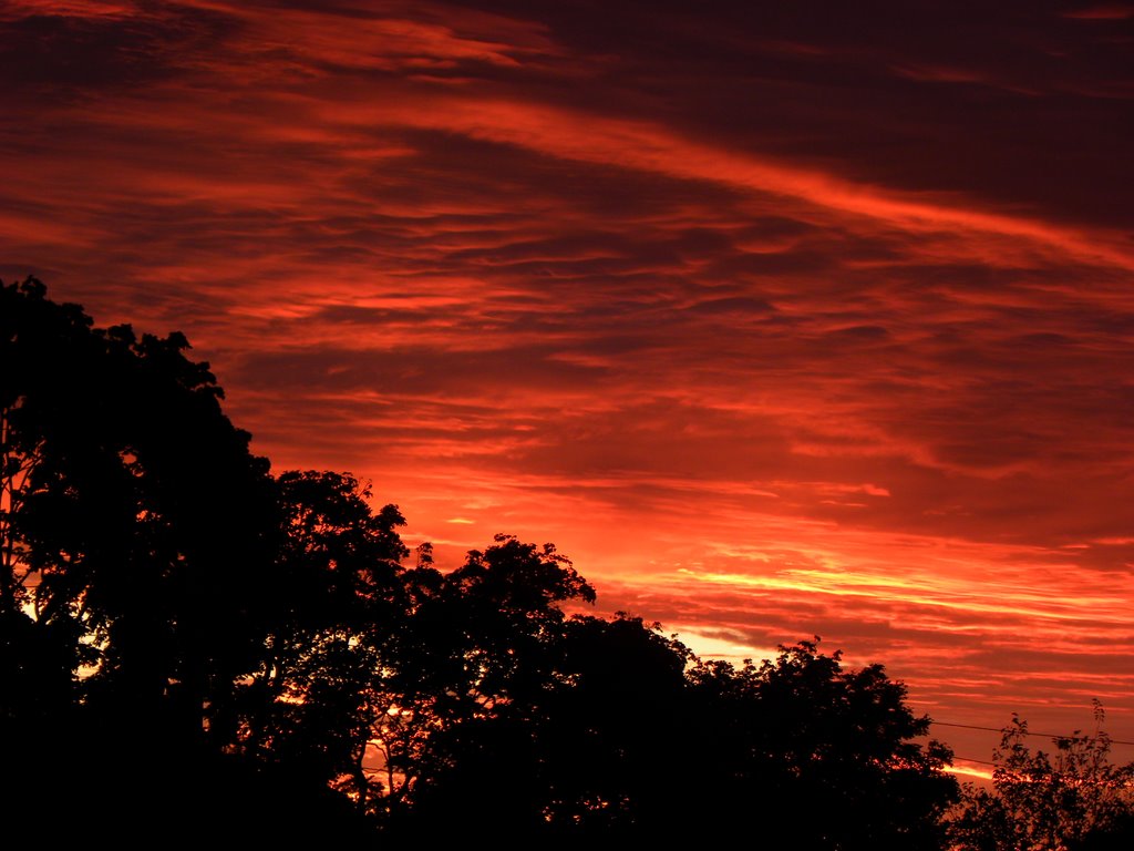 red fury