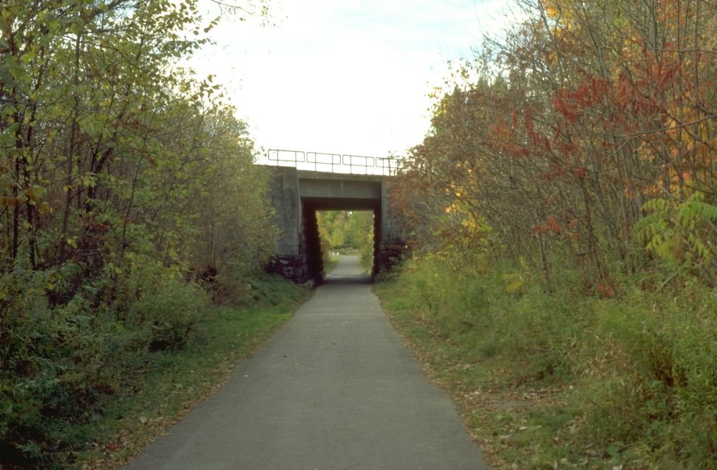 Bike Path