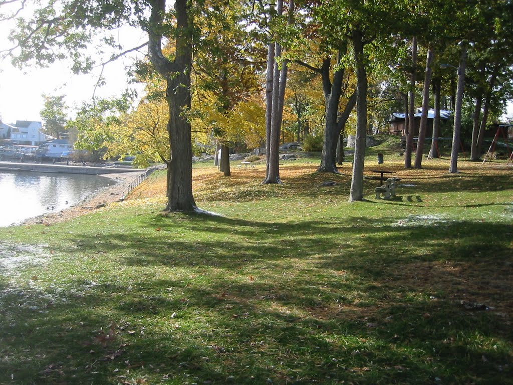 Fall Scene