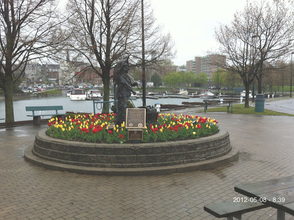 Tulips May 2012 Brockville Harb