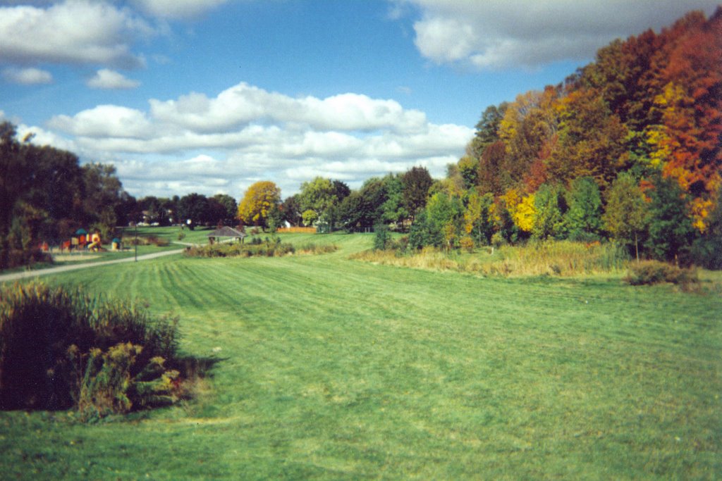 Fall in Moses Springer Park