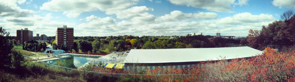 Waterloo from Lincoln St. hill in Fall