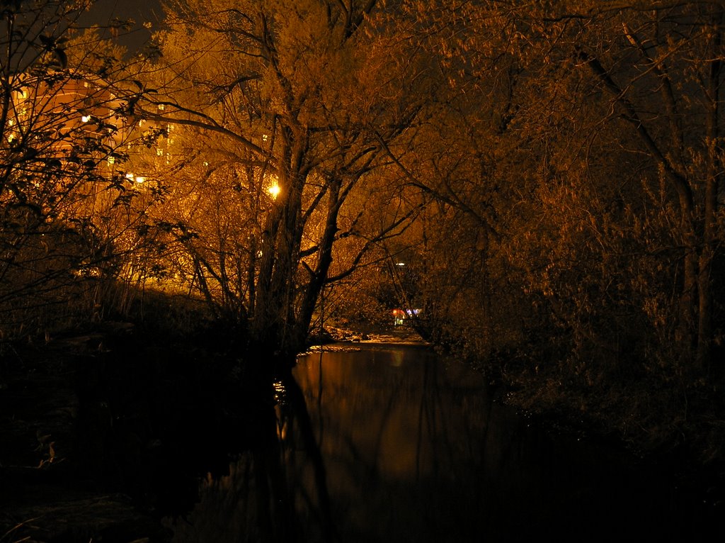 Creek by Moses Springer Arena