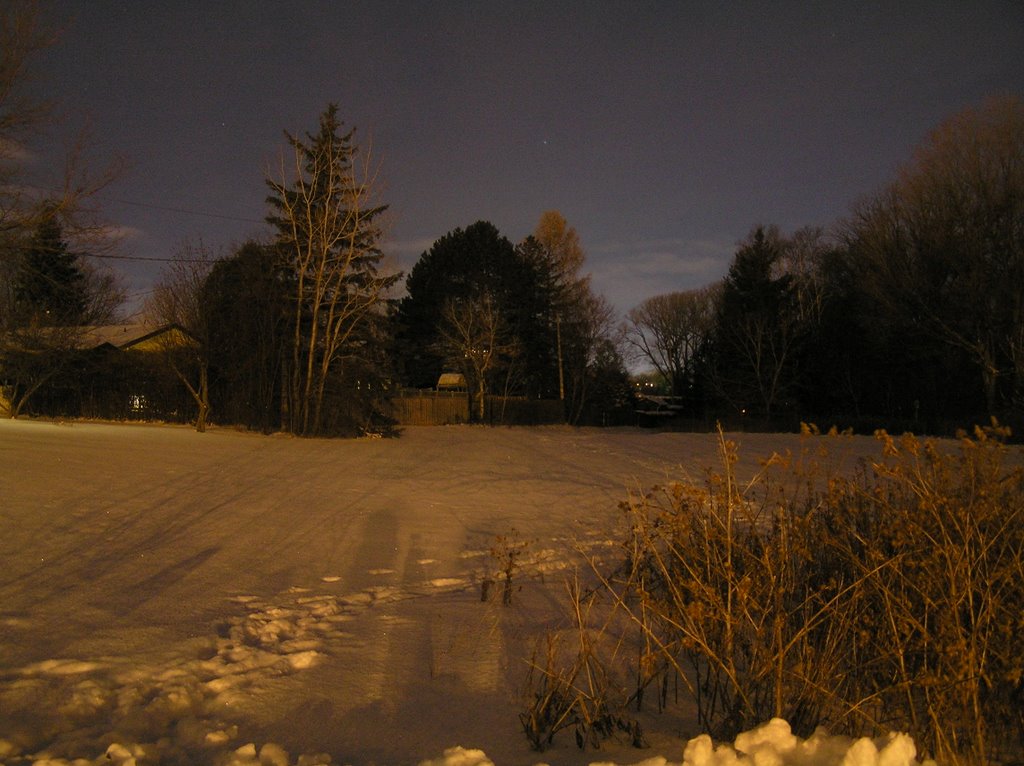 Field in Moses Springer park