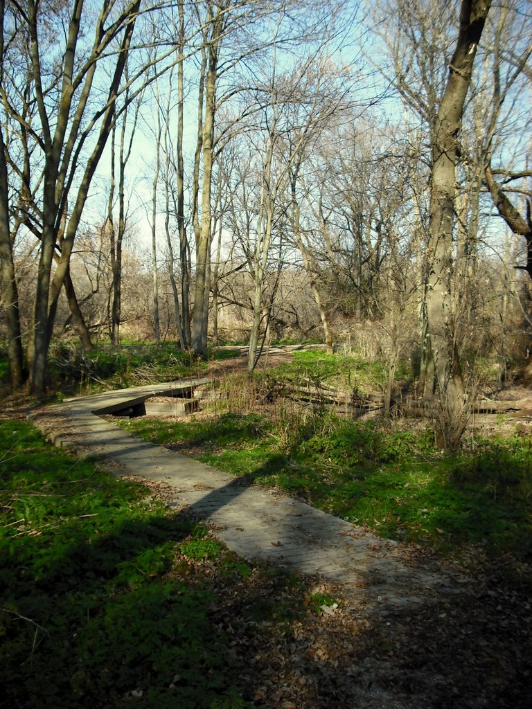 Millenium Trail 2008  - Woodstock, Ont.