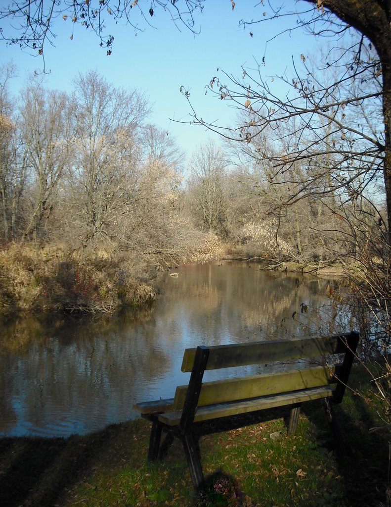 Outlook over the Thames River, 2008