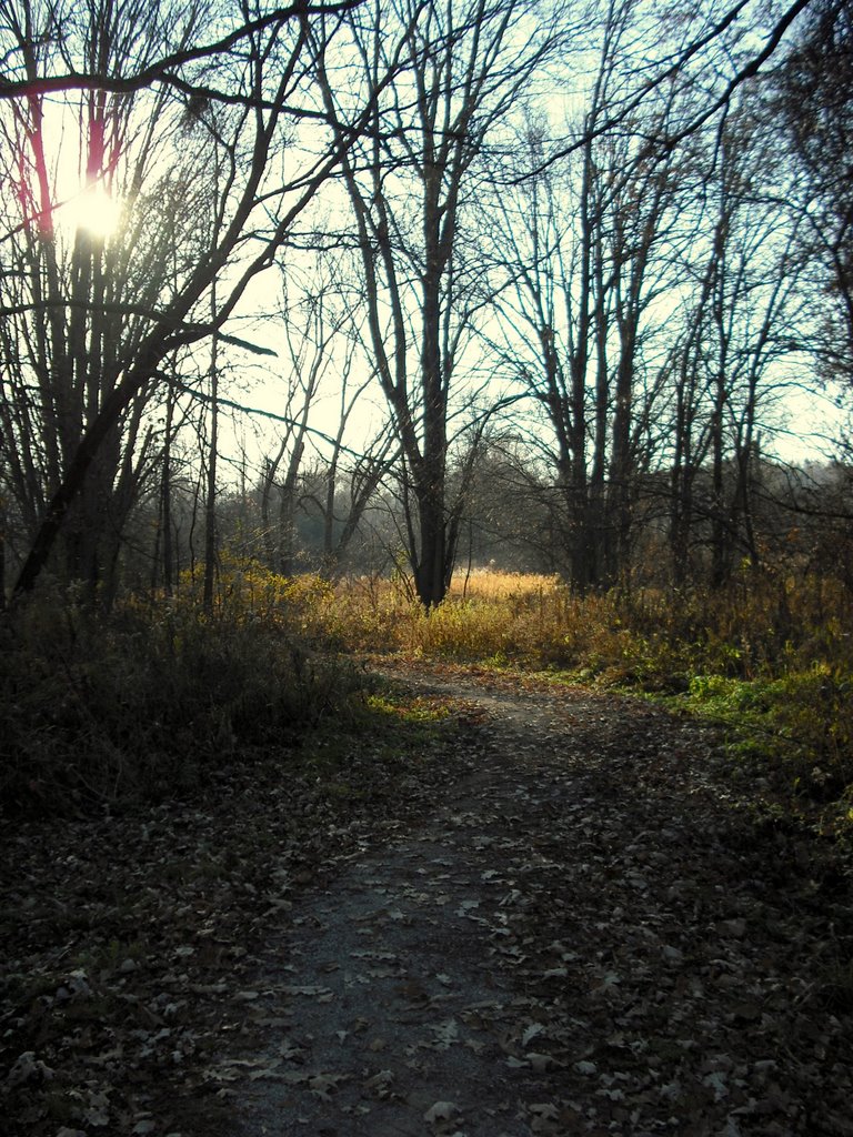 November sunshine on Millenium Trail  2008