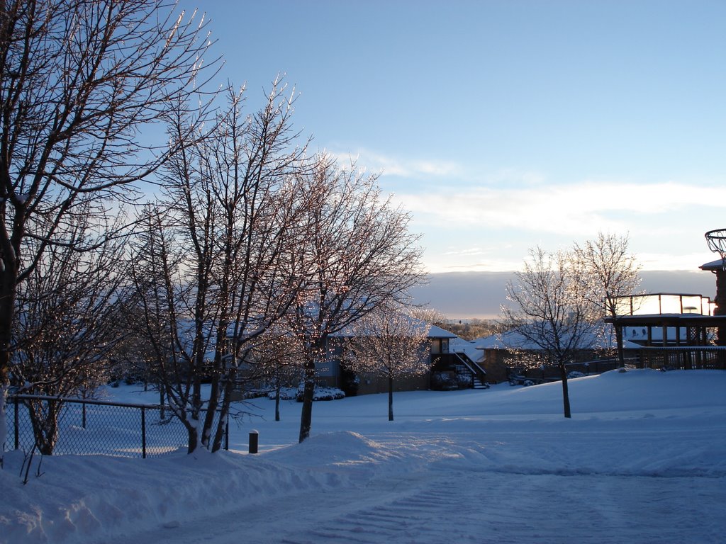 Winter