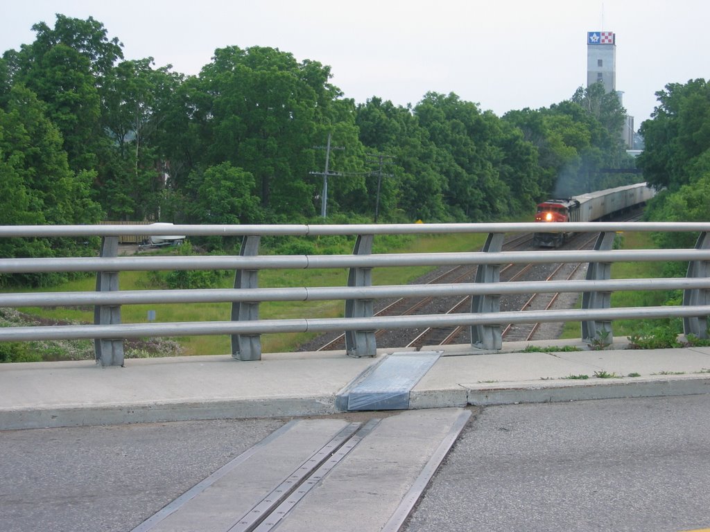 Train and Purina