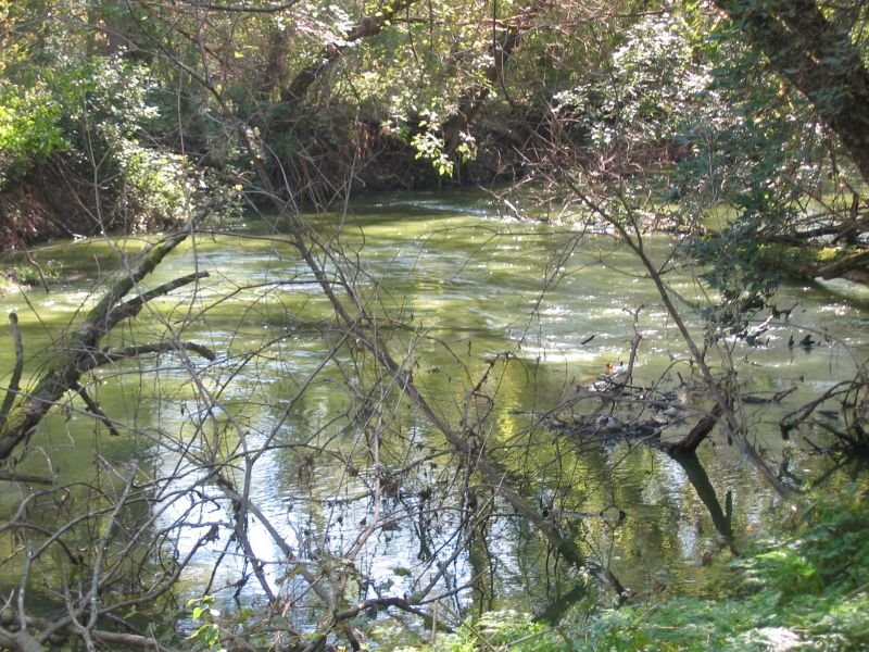 Millenium Trail