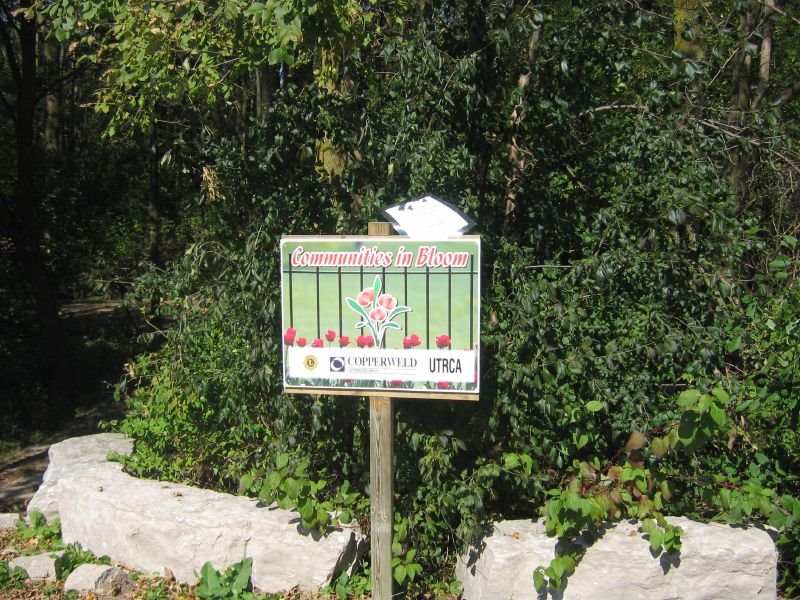 Millenium Trail