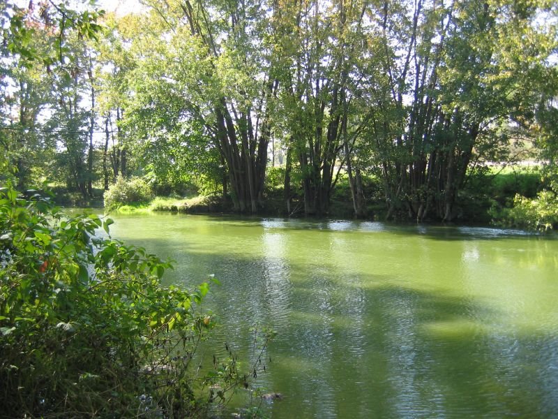 Millenium Trail