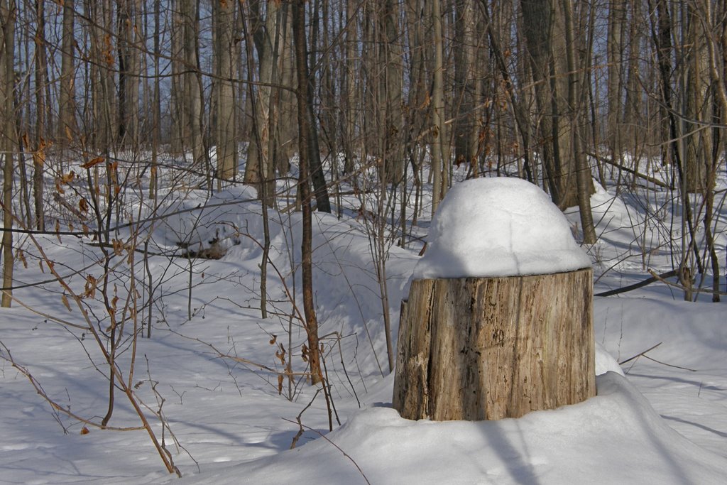 Snow-capped
