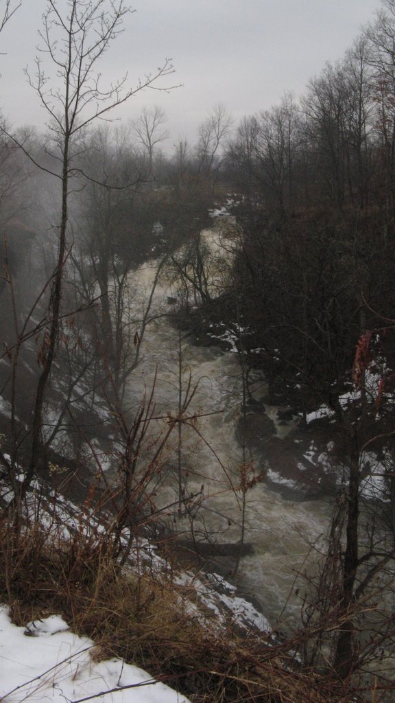 Upper Beamer Falls from car park