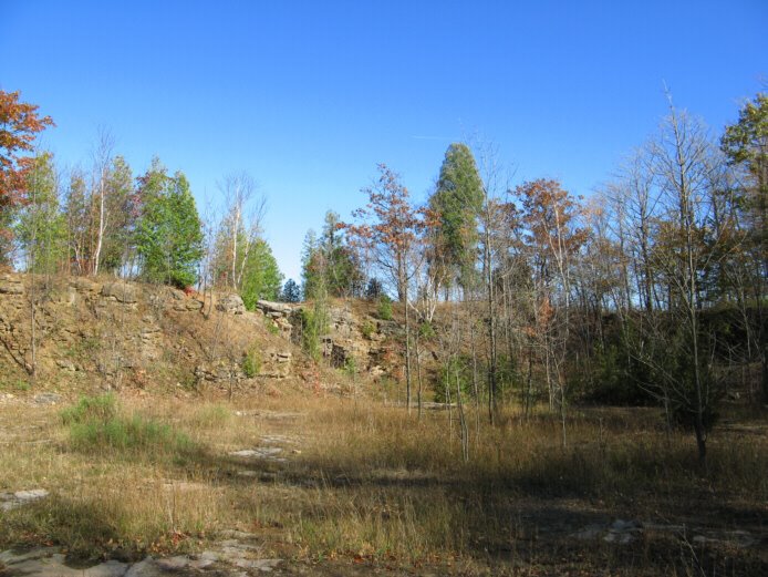 Quarry in Beamer Conservation Area