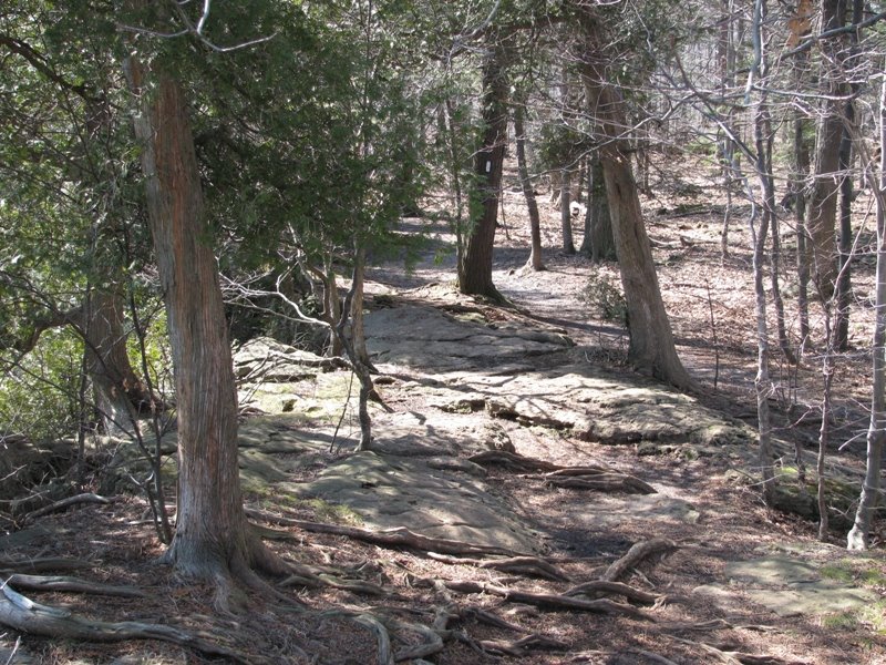 Bruce Trail