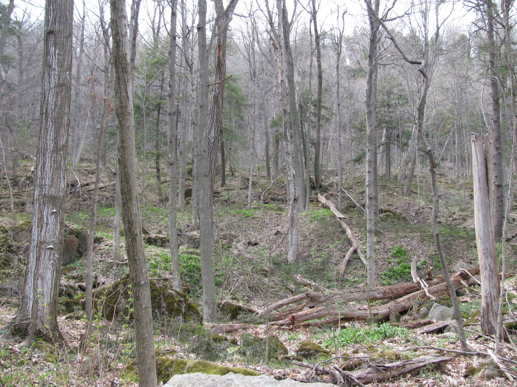 40-mile ravine