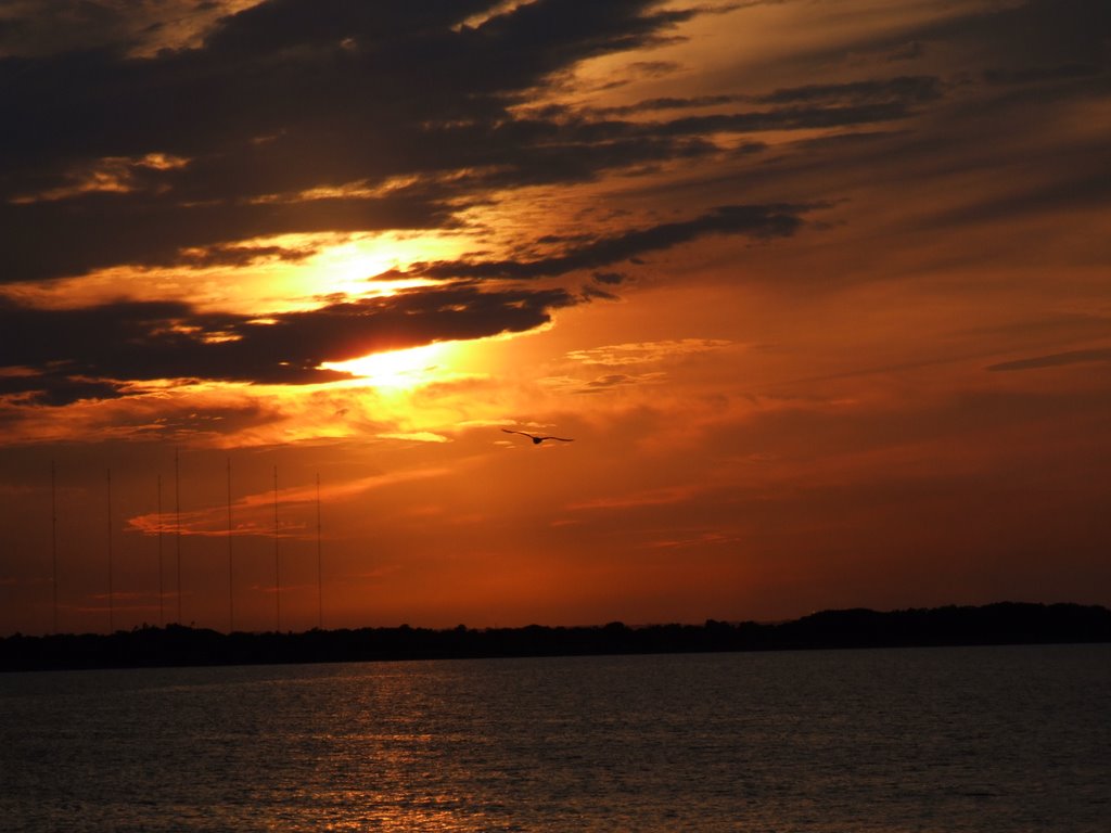 Fifty point sunset
