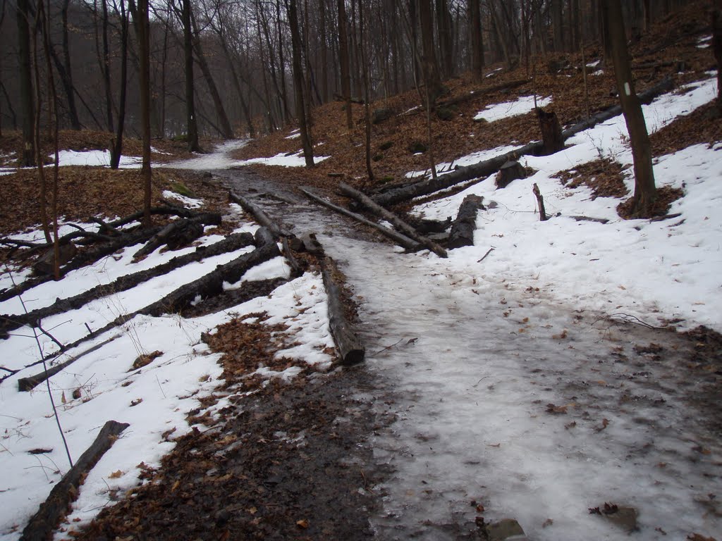 Beamer Memorial Conservation Area