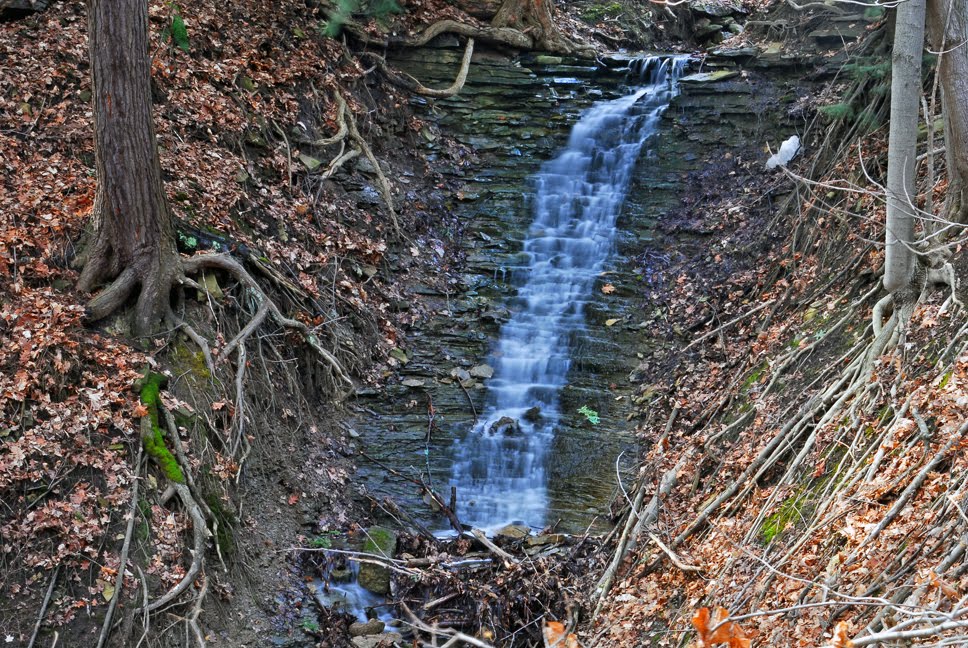 Beamer Side Falls in Forty Mile Gorge