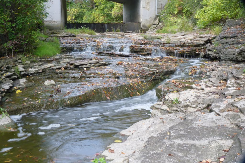 Cascade above Beamer Falls in Region of Niagara