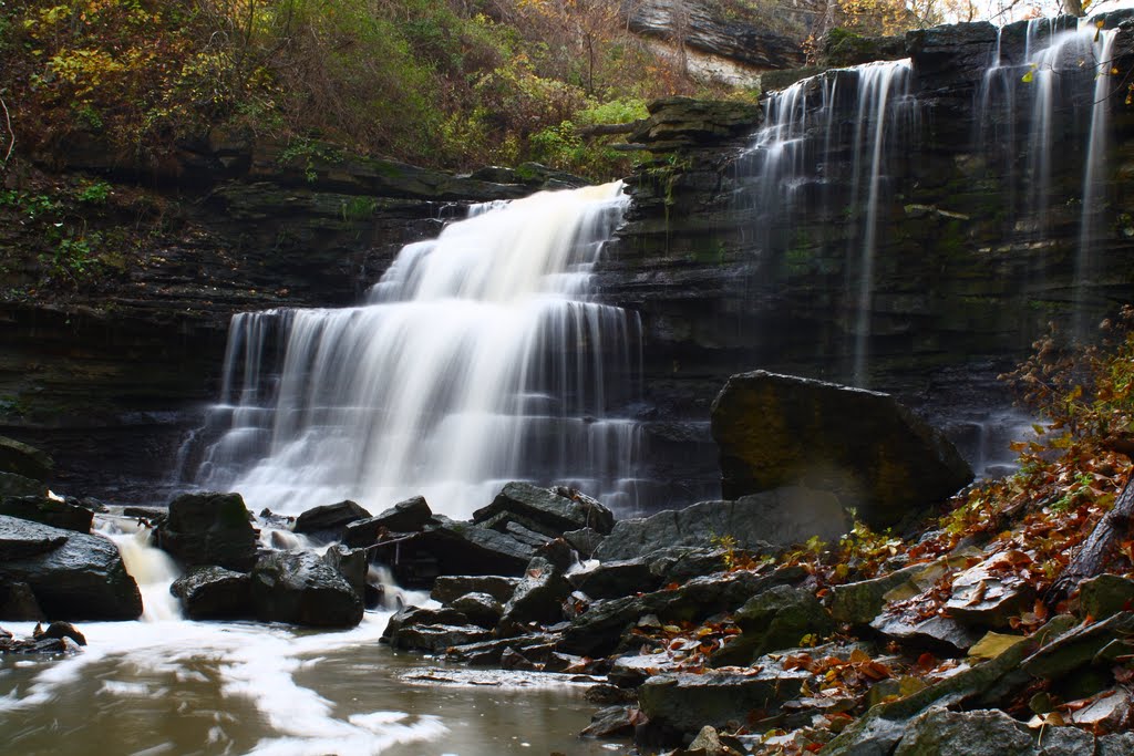 Lower Falls Beamer Conservation area