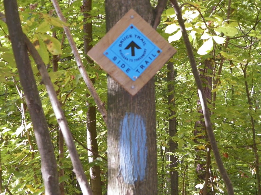 Bruce trail sign