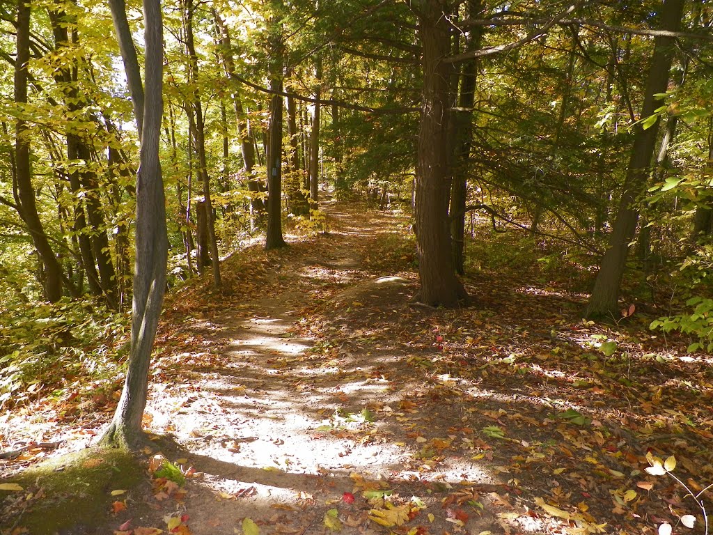 Beamers Falls side trail