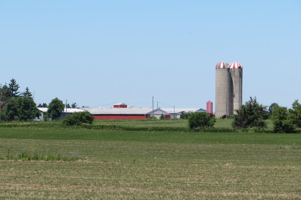 Farm Silos - Caledon - Ontario - Canada